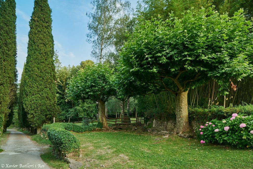 Apartamentos Fonda Finet Sant Feliu De Pallerols Luaran gambar